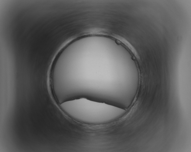 X0000101091285200806261054