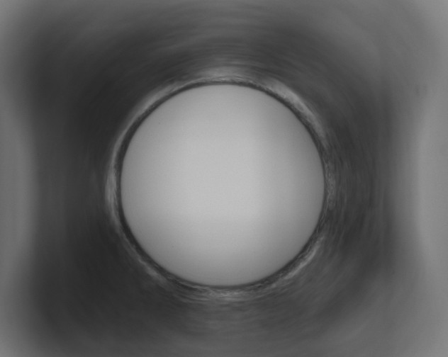 X0000101091286200806261054