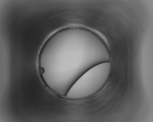 X0000101091287200806261054