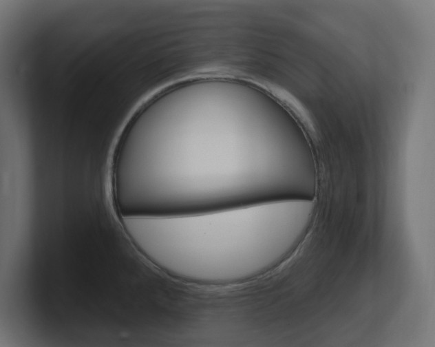 X0000101091288200806261054