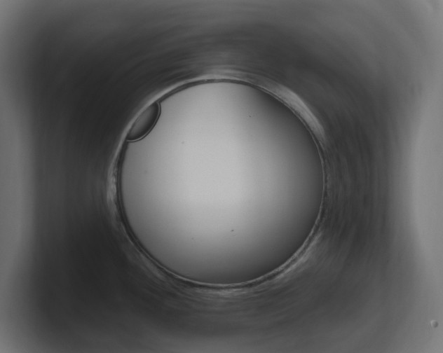 X0000101091292200806261054