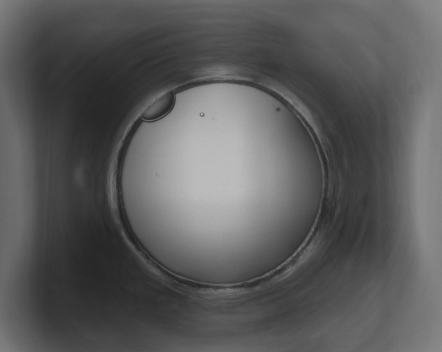 X0000101091293200806261054