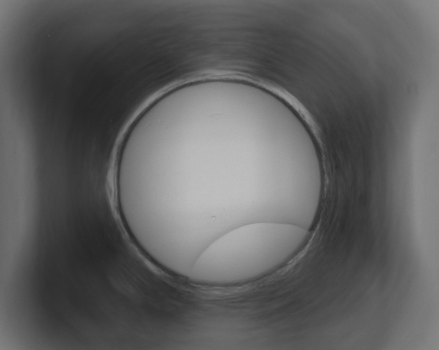 X0000101091294200806261054