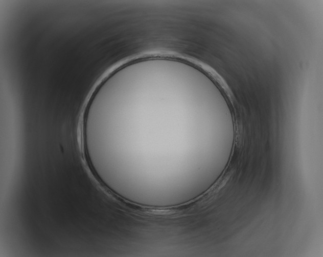 X0000101091295200806261054