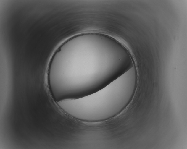 X0000101091296200806261054