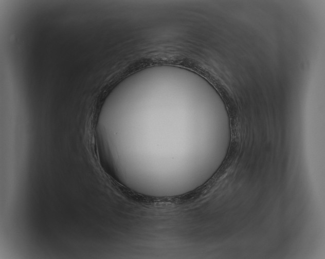 X0000101091297200806261054