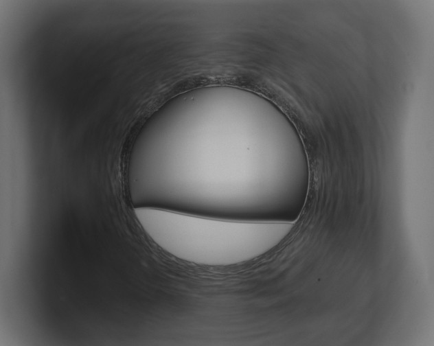 X0000101091298200806261054