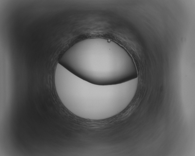 X0000101091300200806261054