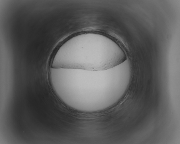 X0000101091308200806261054