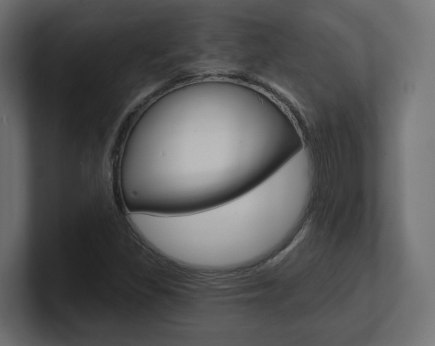 X0000101091309200806261054