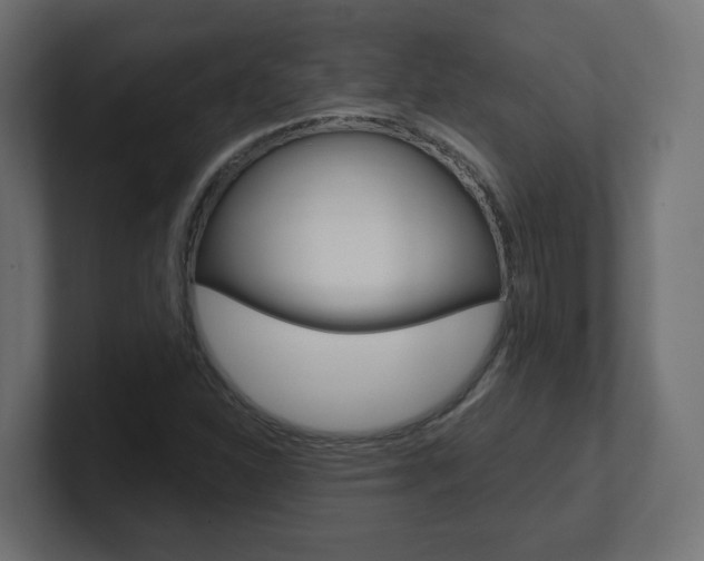 X0000101091310200806261054