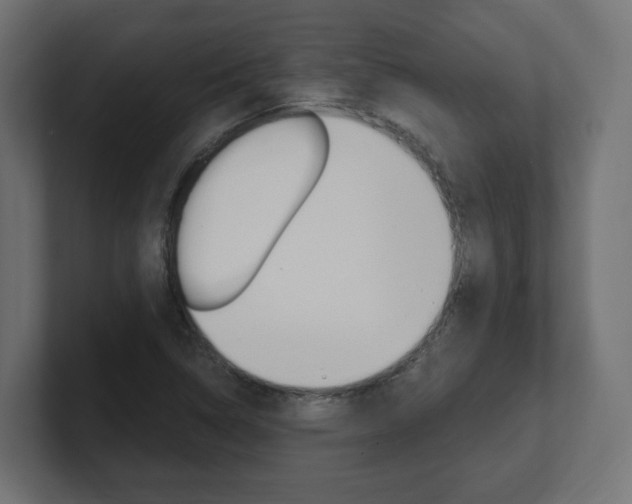 X0000101091314200806261054