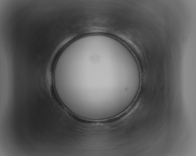 X0000101091317200806261054
