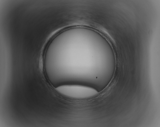 X0000101091320200806261054