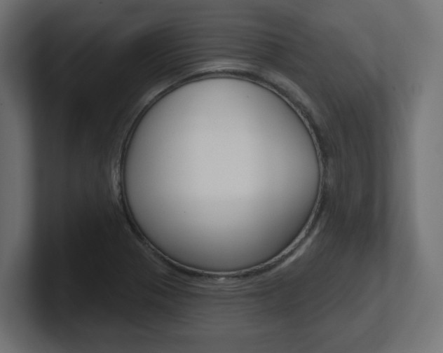 X0000101091321200806261054