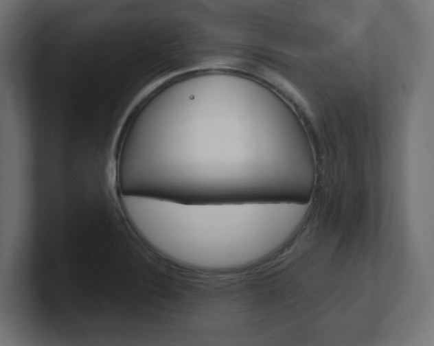 X0000101091324200806261054