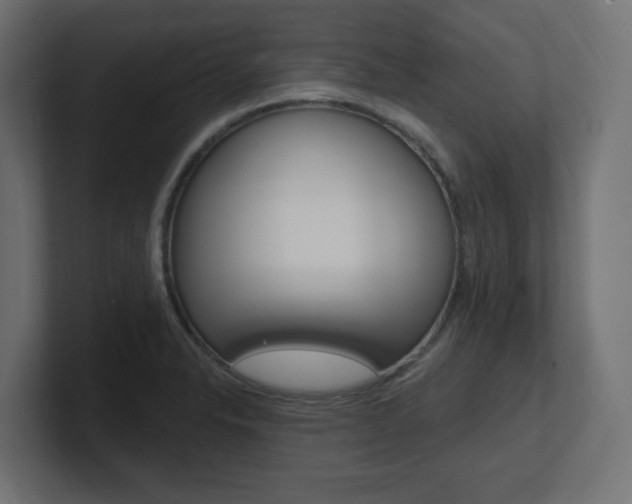X0000101091326200806261054