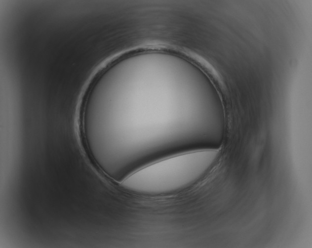 X0000101091327200806261054