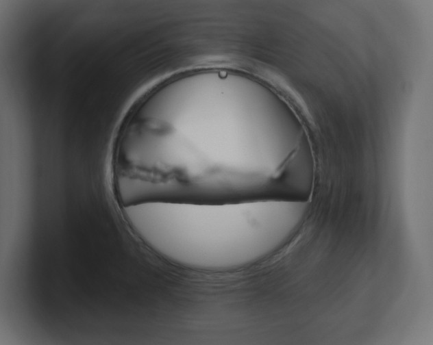 X0000101091328200806261054