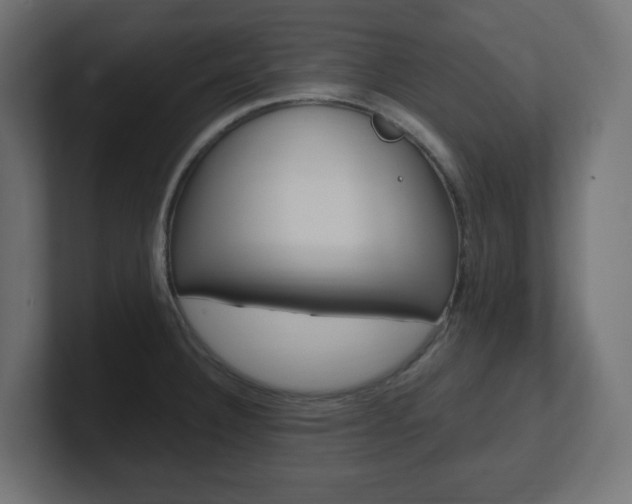 X0000101091332200806261054