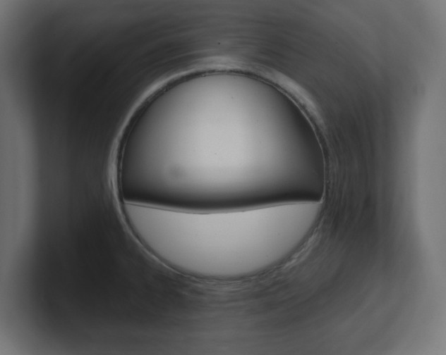 X0000101091334200806261054