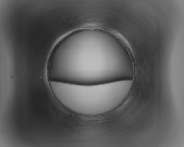 X0000101091336200806261054