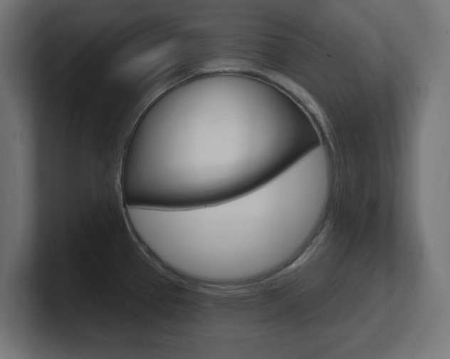 X0000101091337200806261054