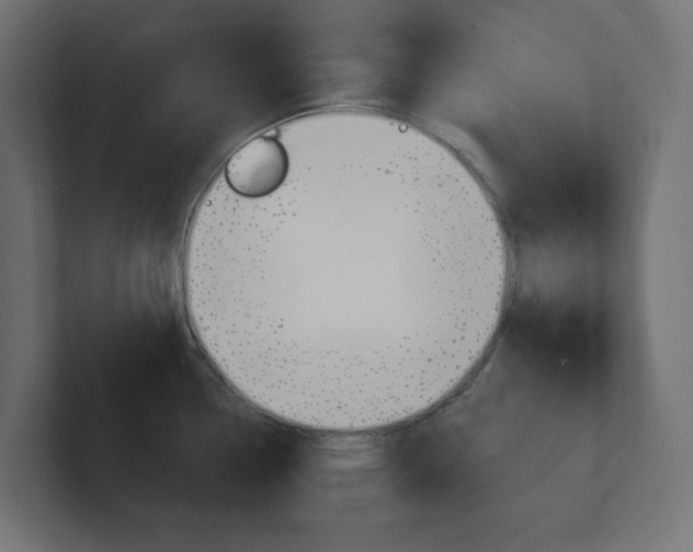 X0000101091338200806261054