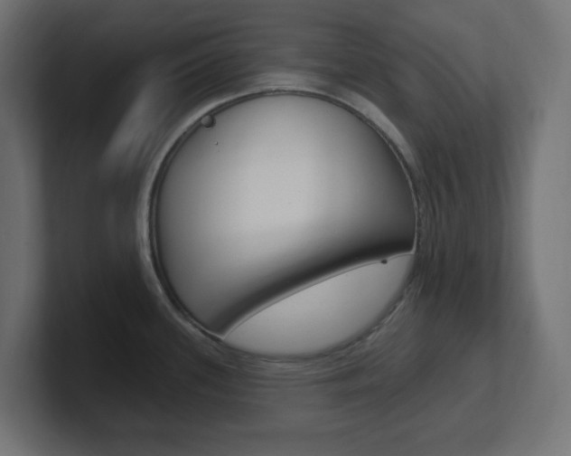 X0000101091339200806261054