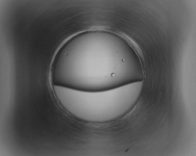 X0000101091340200806261054