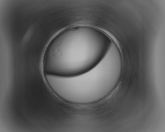 X0000101091341200806261054