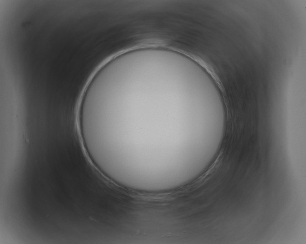 X0000101091342200806261054