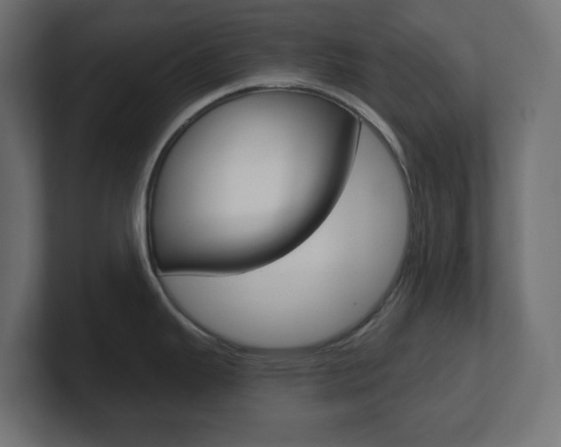 X0000101091343200806261054