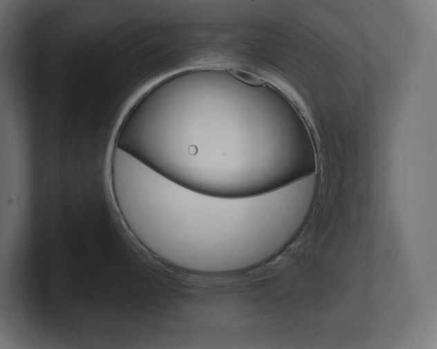 X0000101091344200806261054