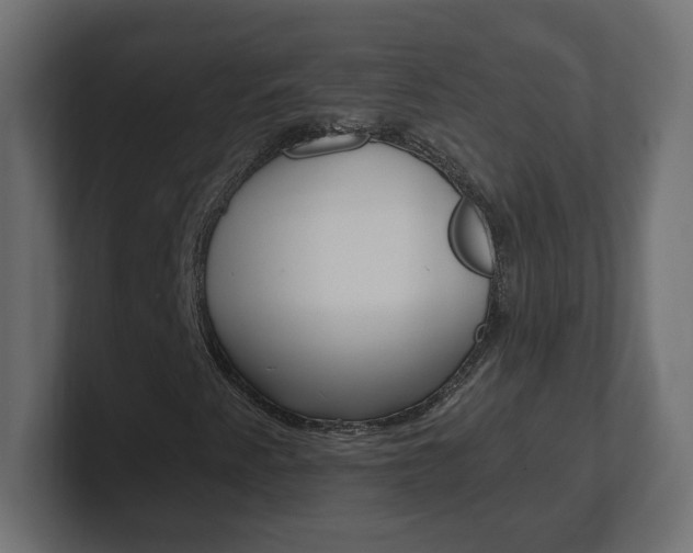 X0000101091345200806261054