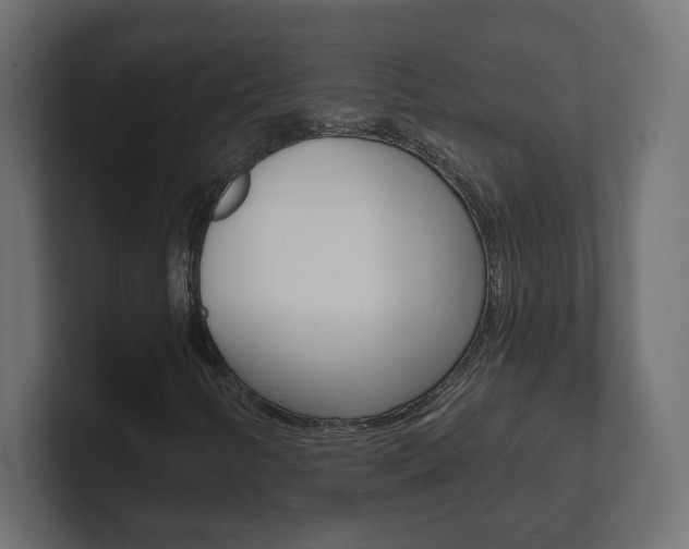 X0000101091346200806261054