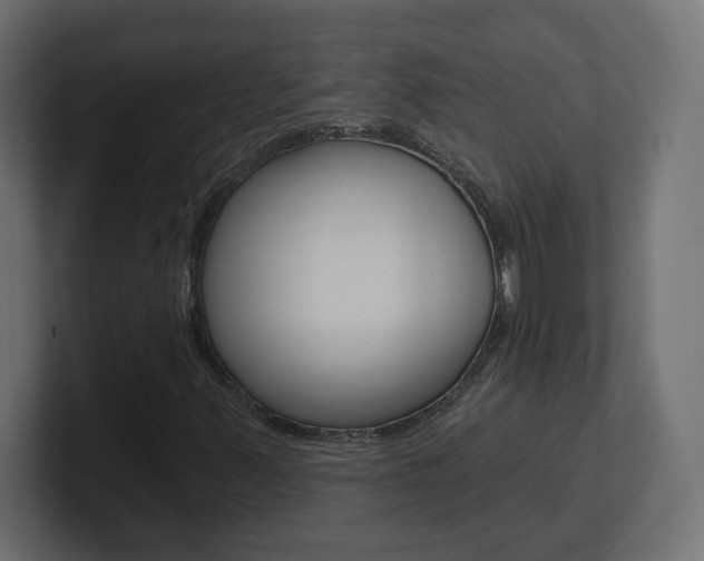 X0000101091347200806261054