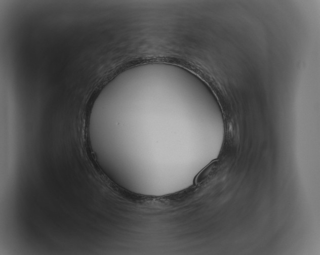 X0000101091348200806261054