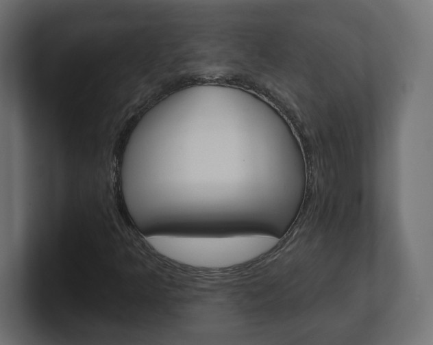 X0000101091349200806261053