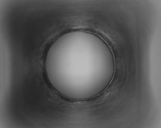 X0000101091351200806261053
