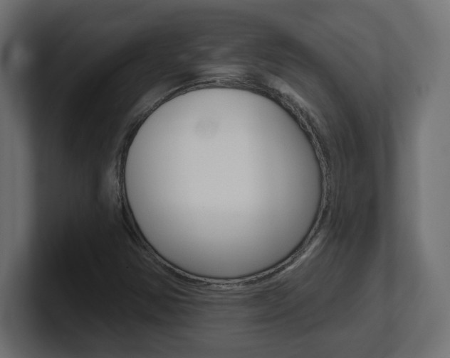X0000101091354200806261053