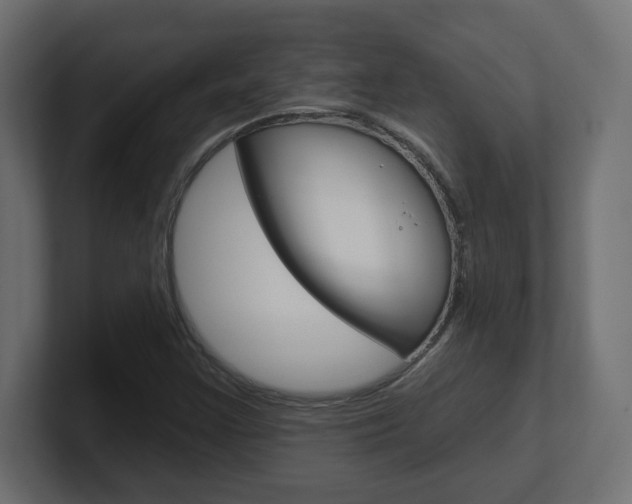 X0000101091355200806261053