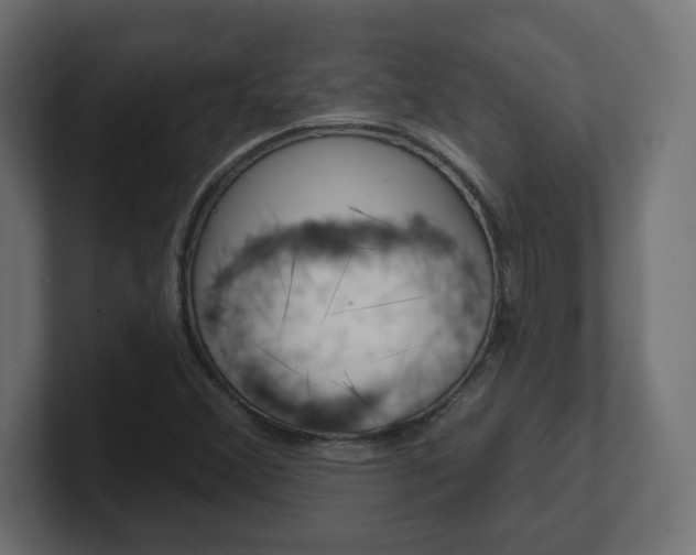 X0000101091356200806261053