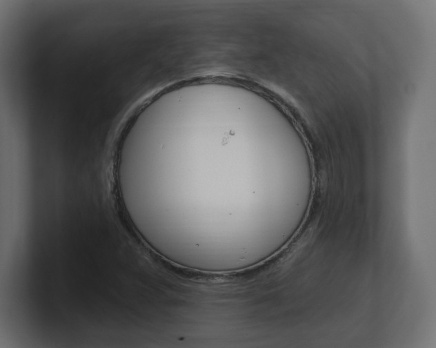 X0000101091359200806261053