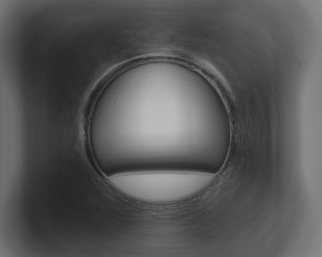 X0000101091360200806261053