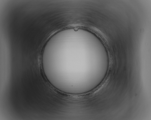 X0000101091361200806261053