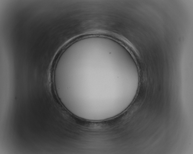 X0000101091364200806261053