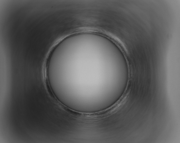 X0000101091365200806261053