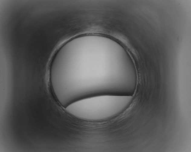X0000101091366200806261053