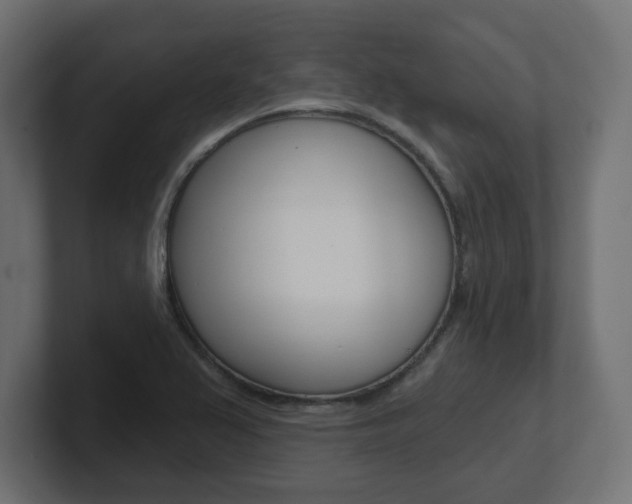 X0000101091367200806261053